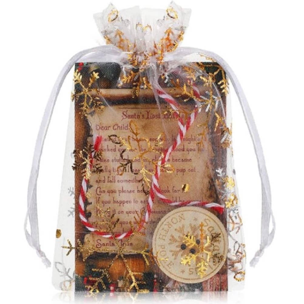 Santa's Lost Button Christmas Kit for Kids Holiday Tradition