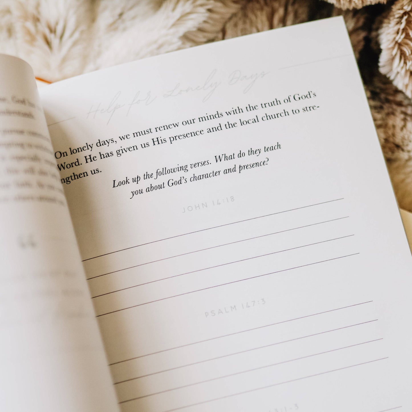 The Daily Grace Co Gospel Hope in Grief and Loss