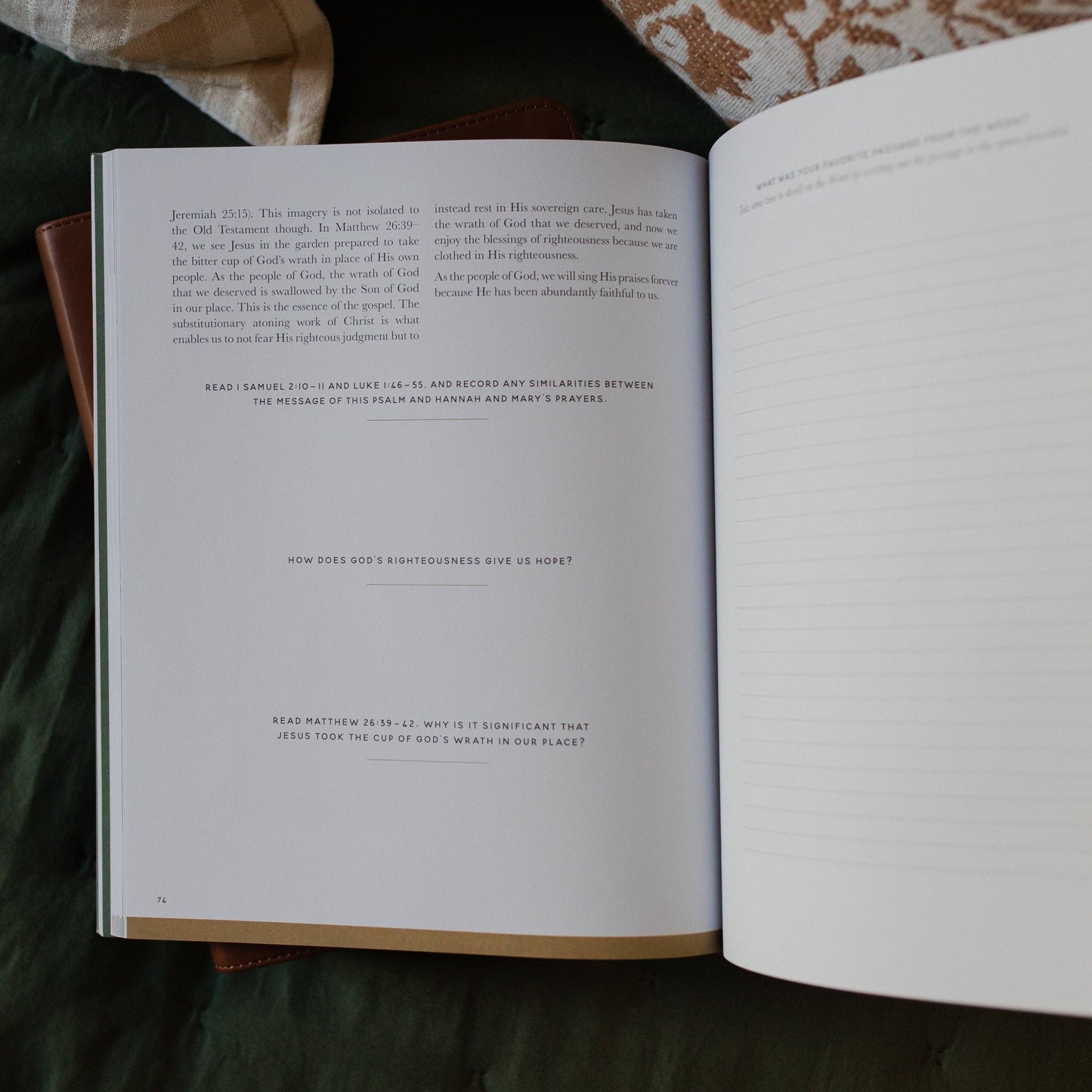 The Daily Grace Co Seek Bible Study