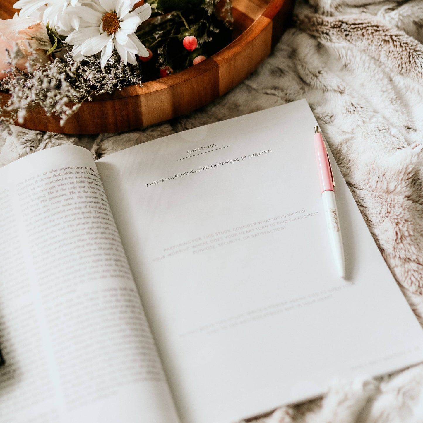 The Daily Grace Co More Than Anything Bible Study