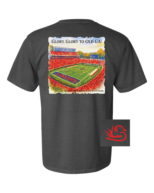 Glory Glory to Old GA! Tee