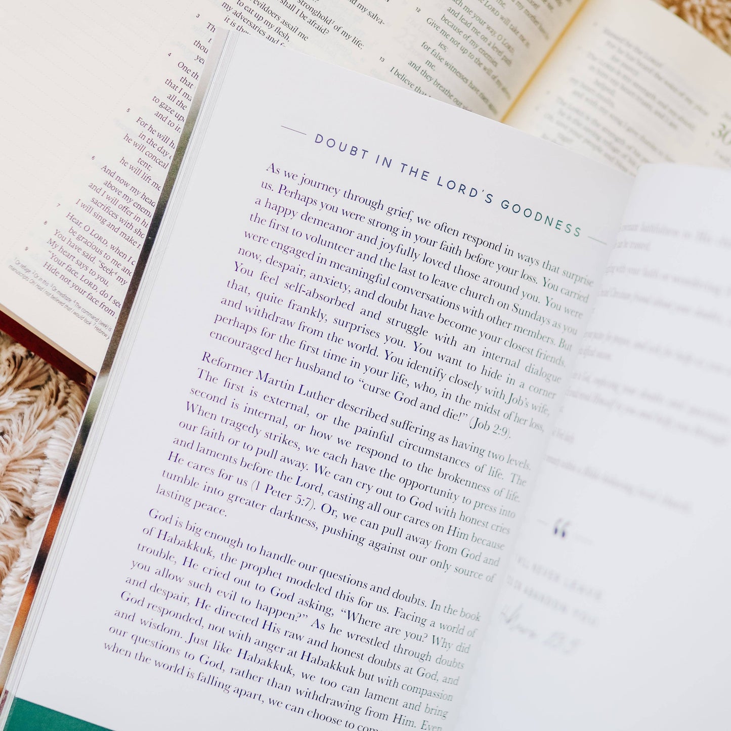 The Daily Grace Co Gospel Hope in Grief and Loss