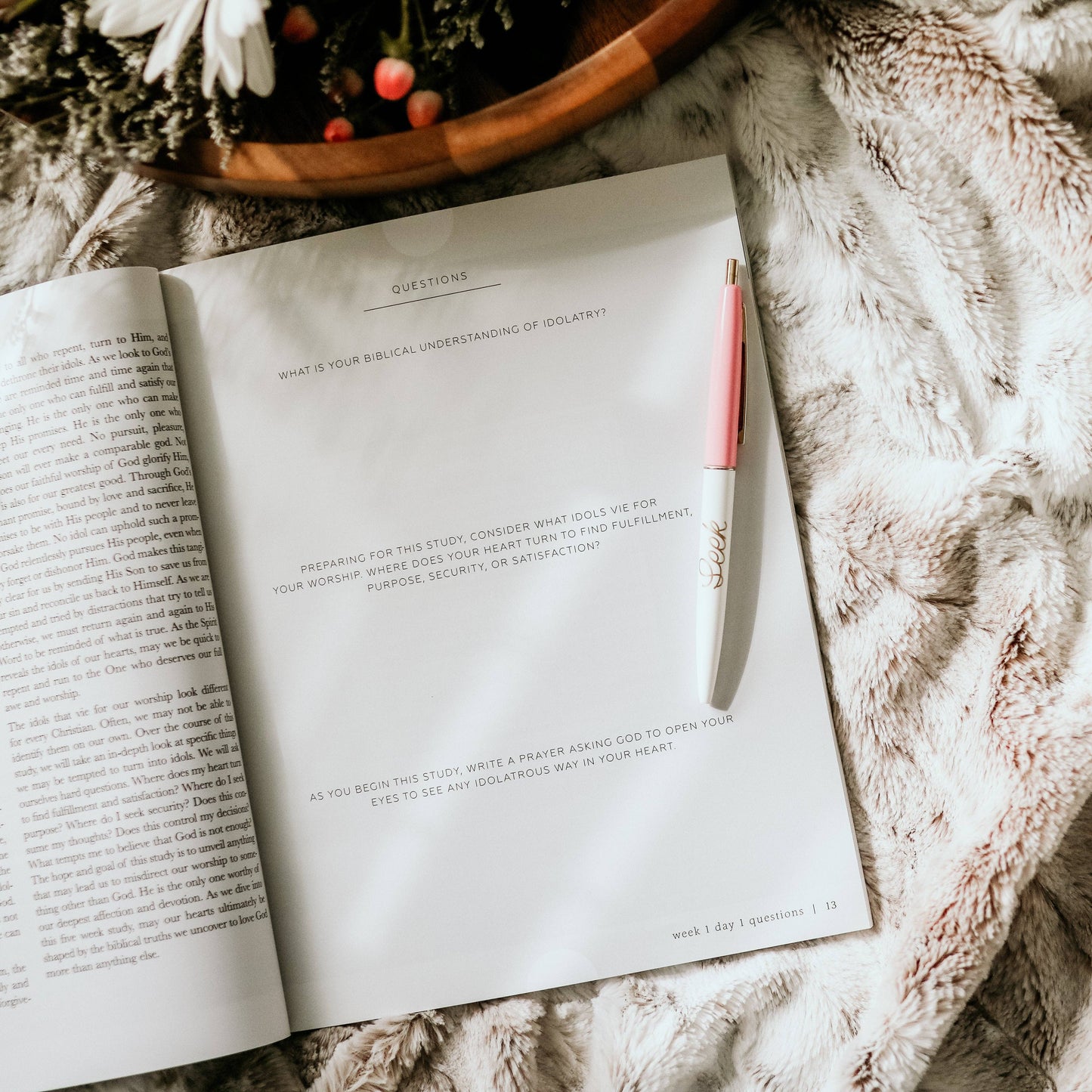 The Daily Grace Co More Than Anything Bible Study