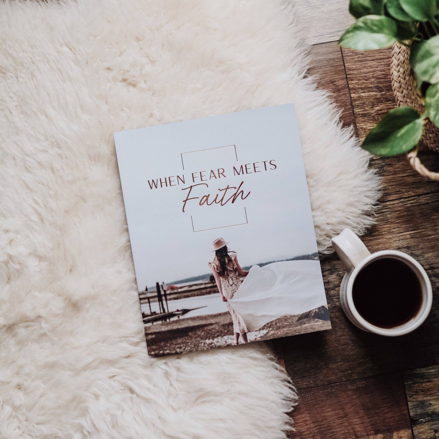 When Fear Meets Faith Bible Study