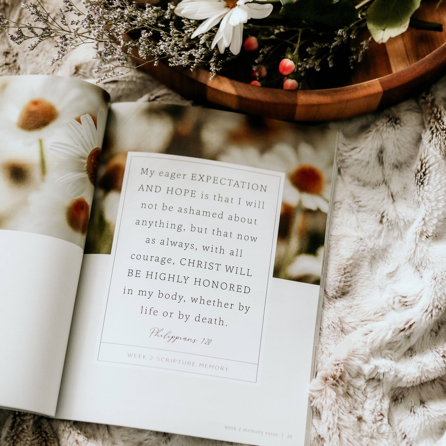 The Daily Grace Co More Than Anything Bible Study