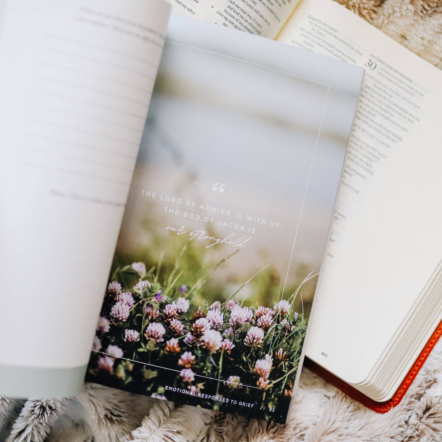 The Daily Grace Co Gospel Hope in Grief and Loss