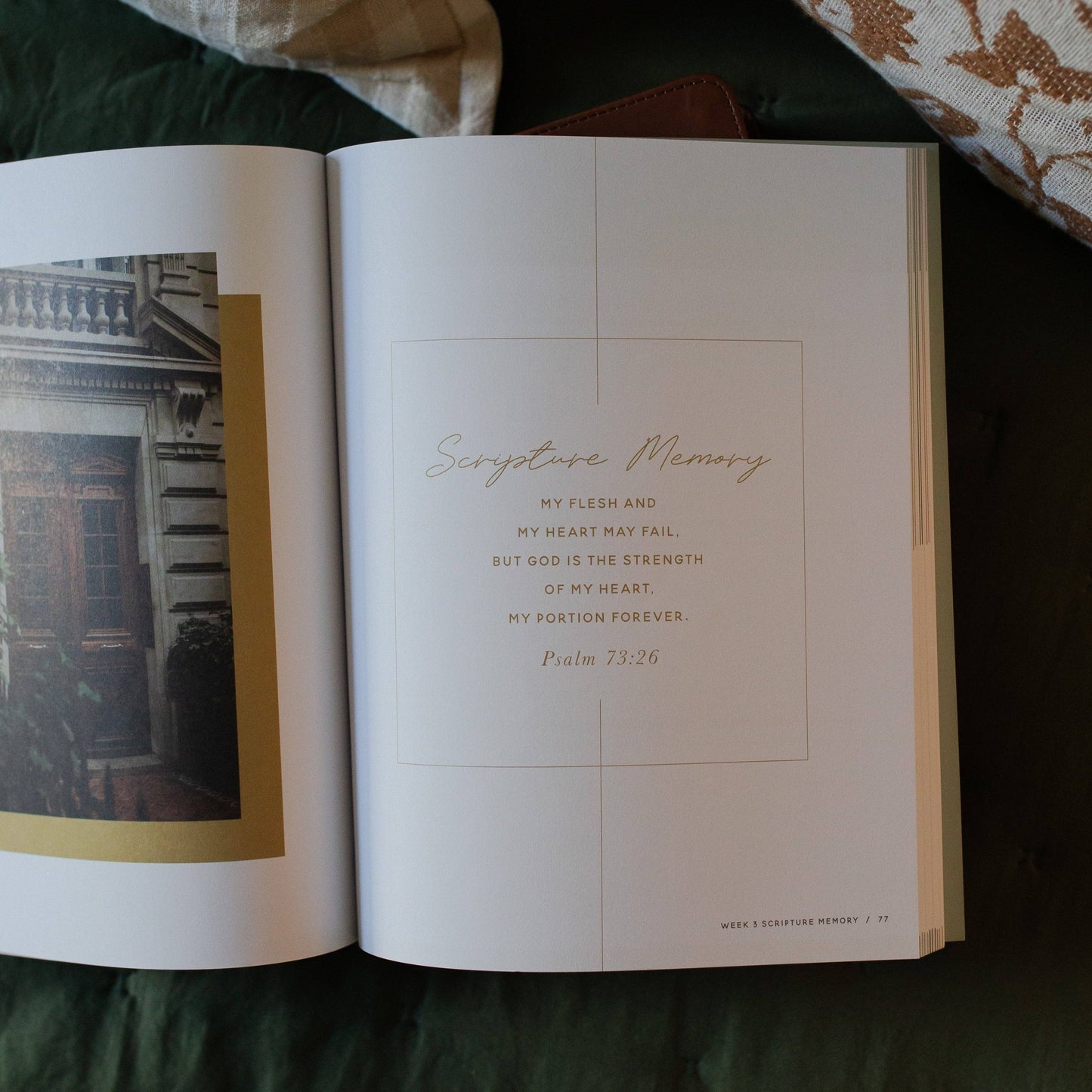 The Daily Grace Co Seek Bible Study