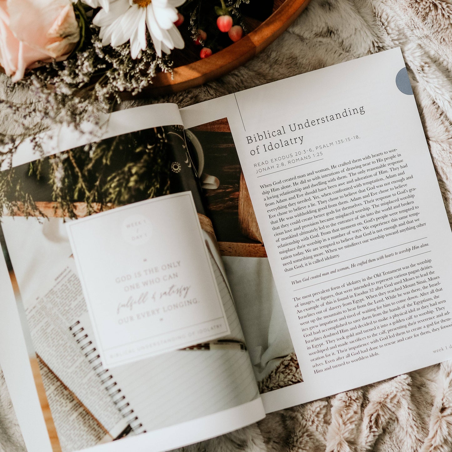The Daily Grace Co More Than Anything Bible Study