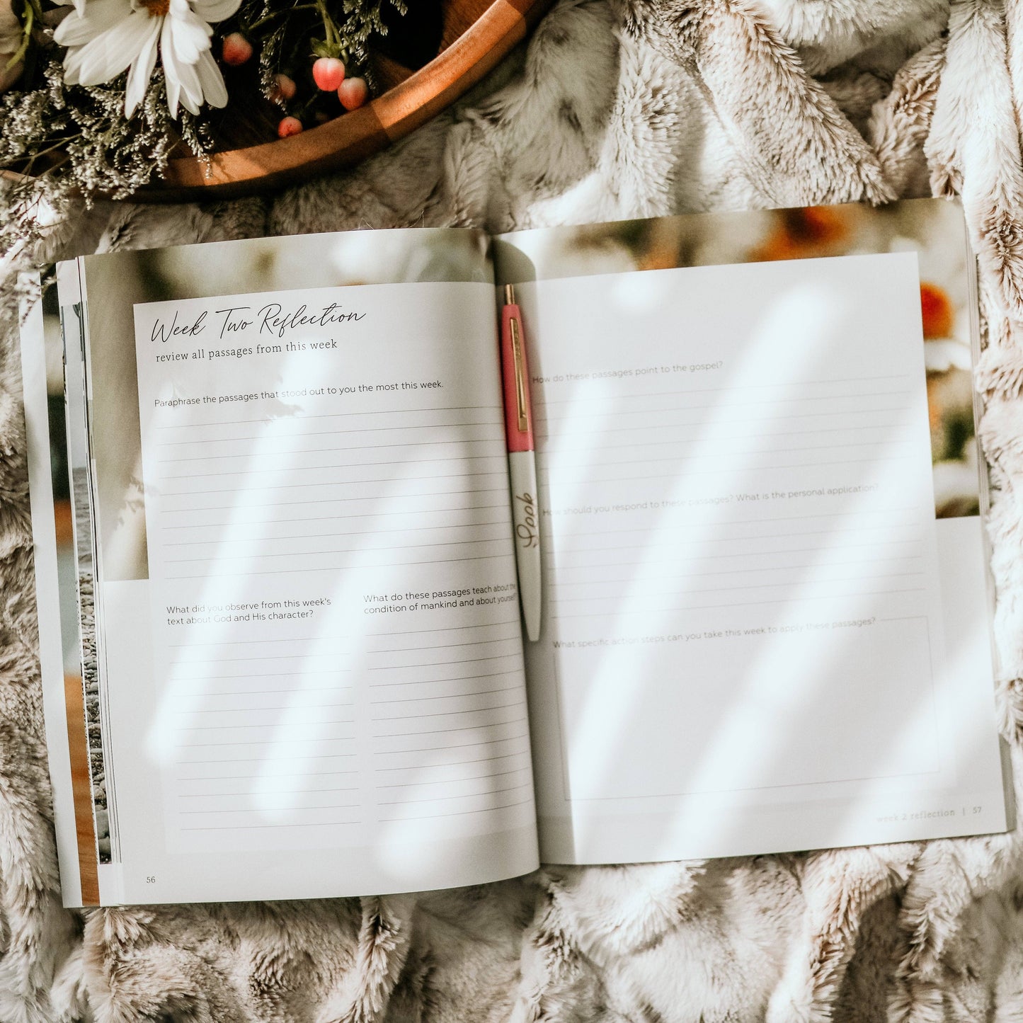 The Daily Grace Co More Than Anything Bible Study