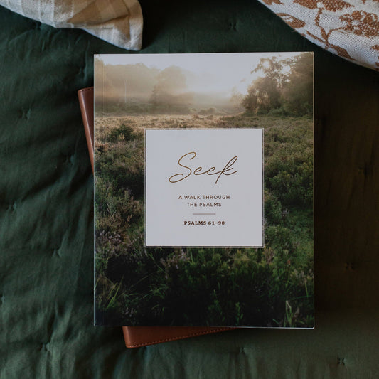 The Daily Grace Co Seek Bible Study