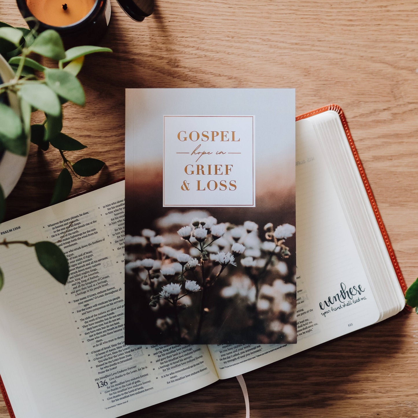 The Daily Grace Co Gospel Hope in Grief and Loss