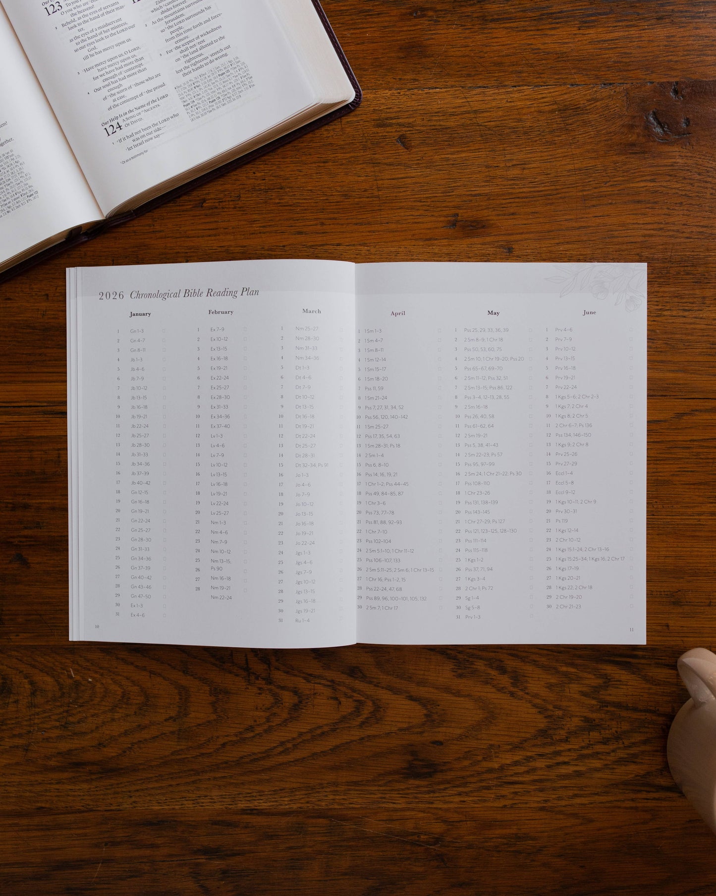 2026 Prayer Calendar by The Daily Grace Co.