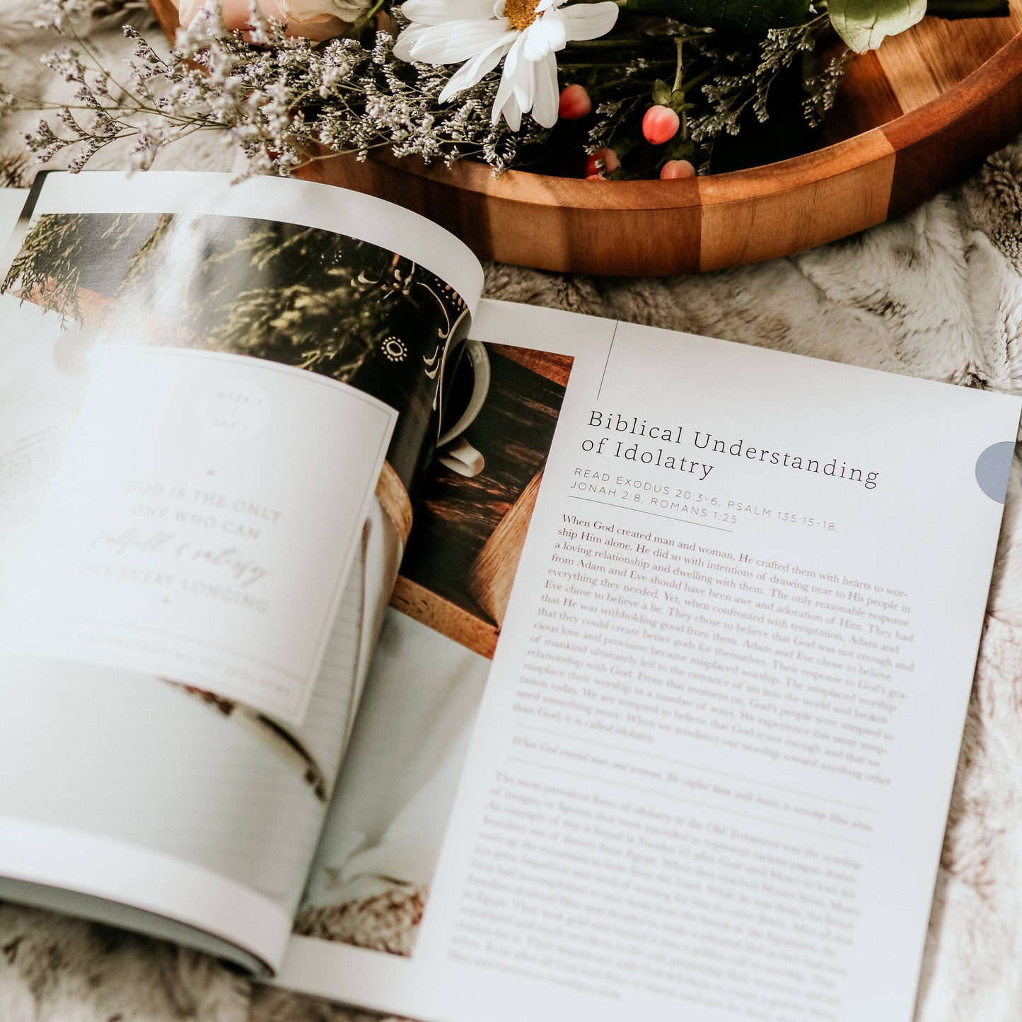 The Daily Grace Co More Than Anything Bible Study