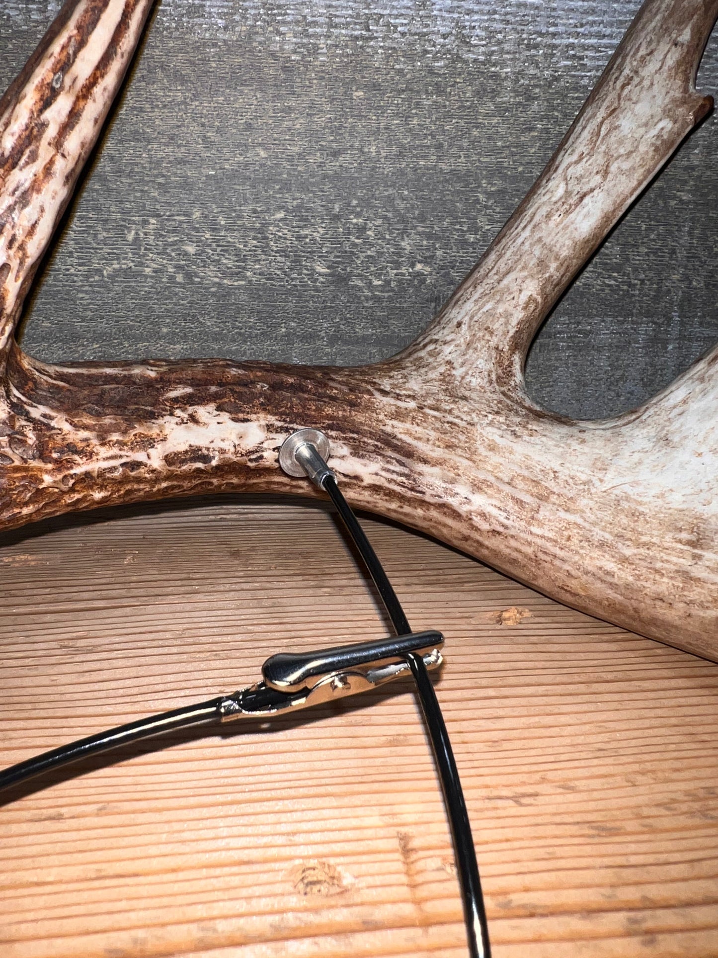 New 2025 Whitetail, Elk and Antelope Antler Score Kit