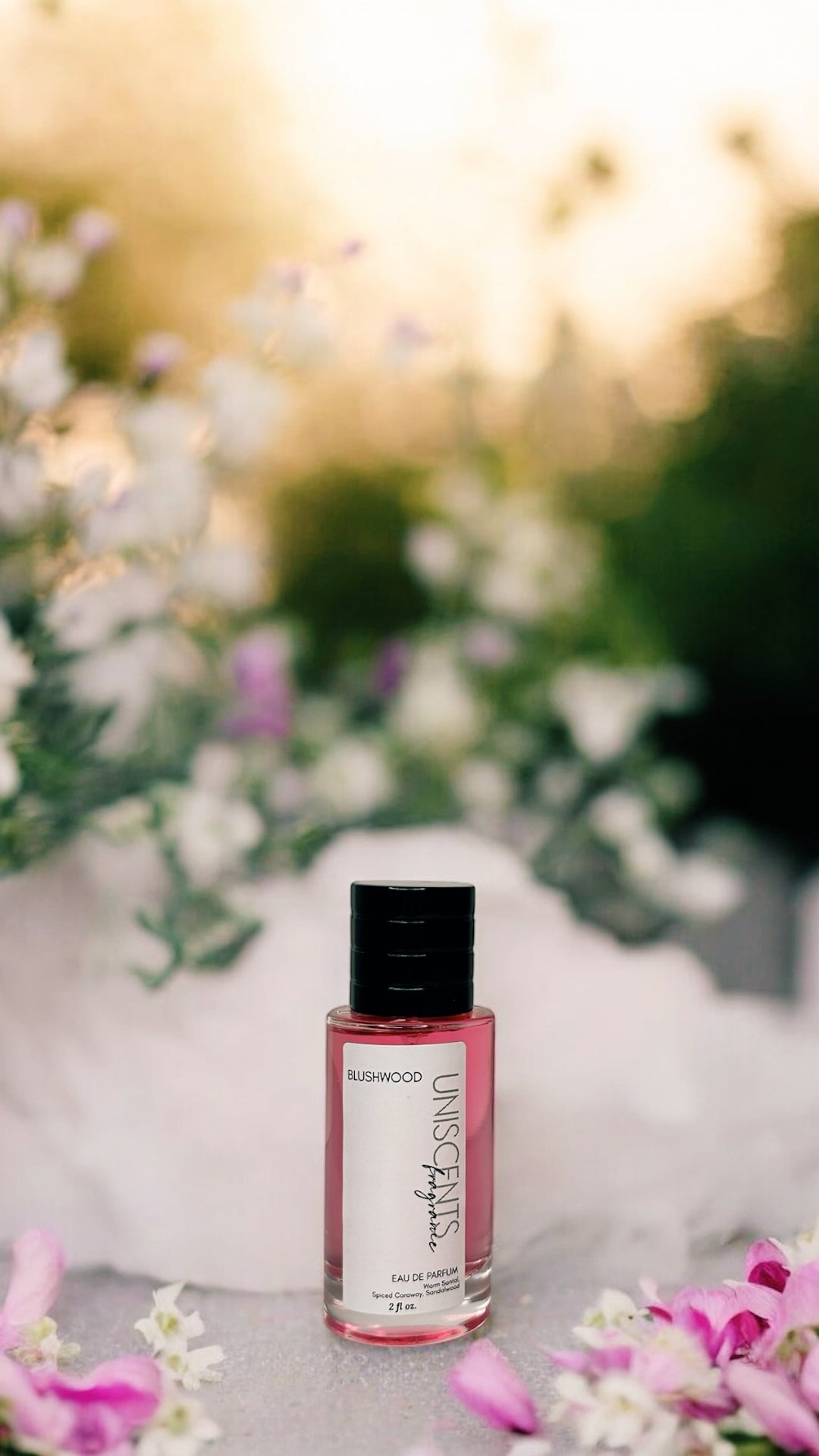 BLUSHWOOD *Limited Release* - Fragrance SPRAY 100ml