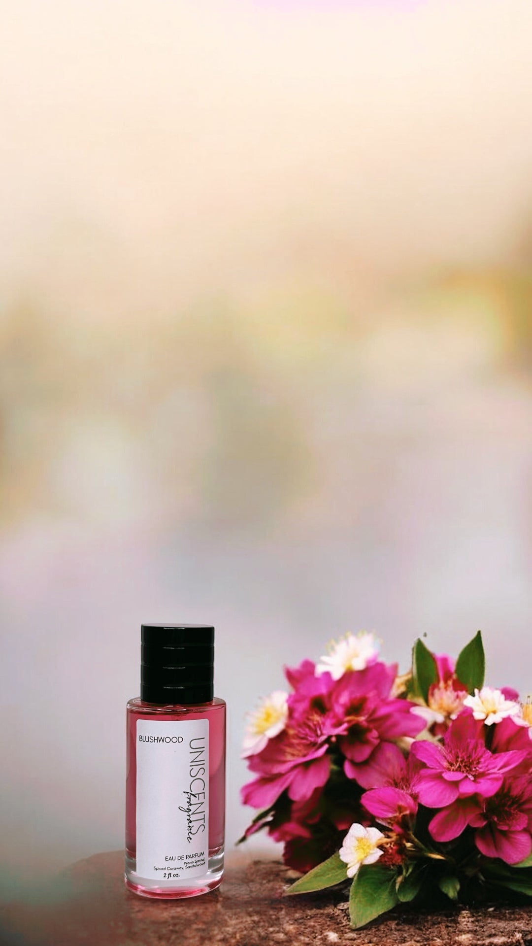 BLUSHWOOD *Limited Release* - Fragrance SPRAY 100ml