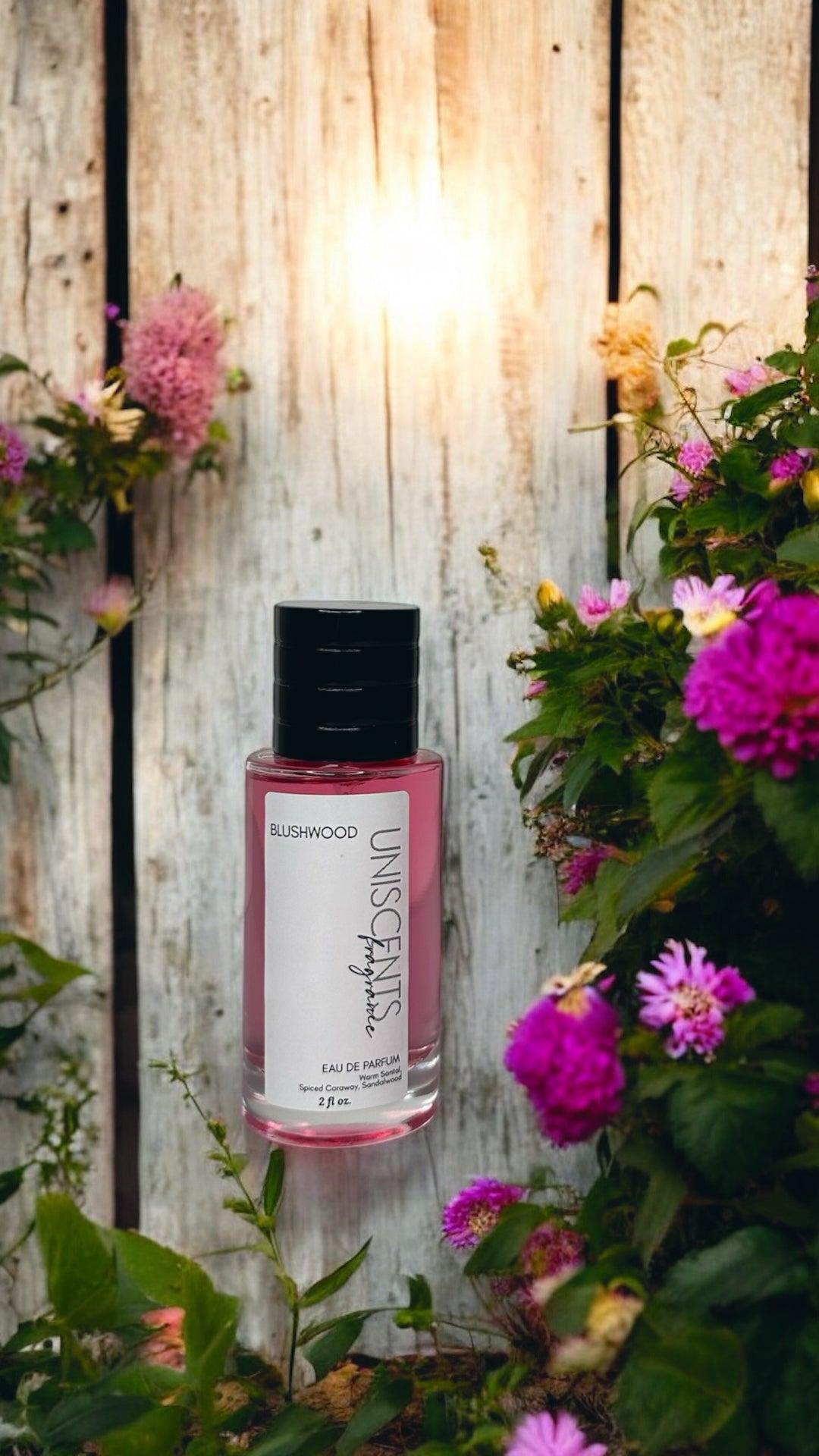 BLUSHWOOD *Limited Release* - Fragrance SPRAY 100ml