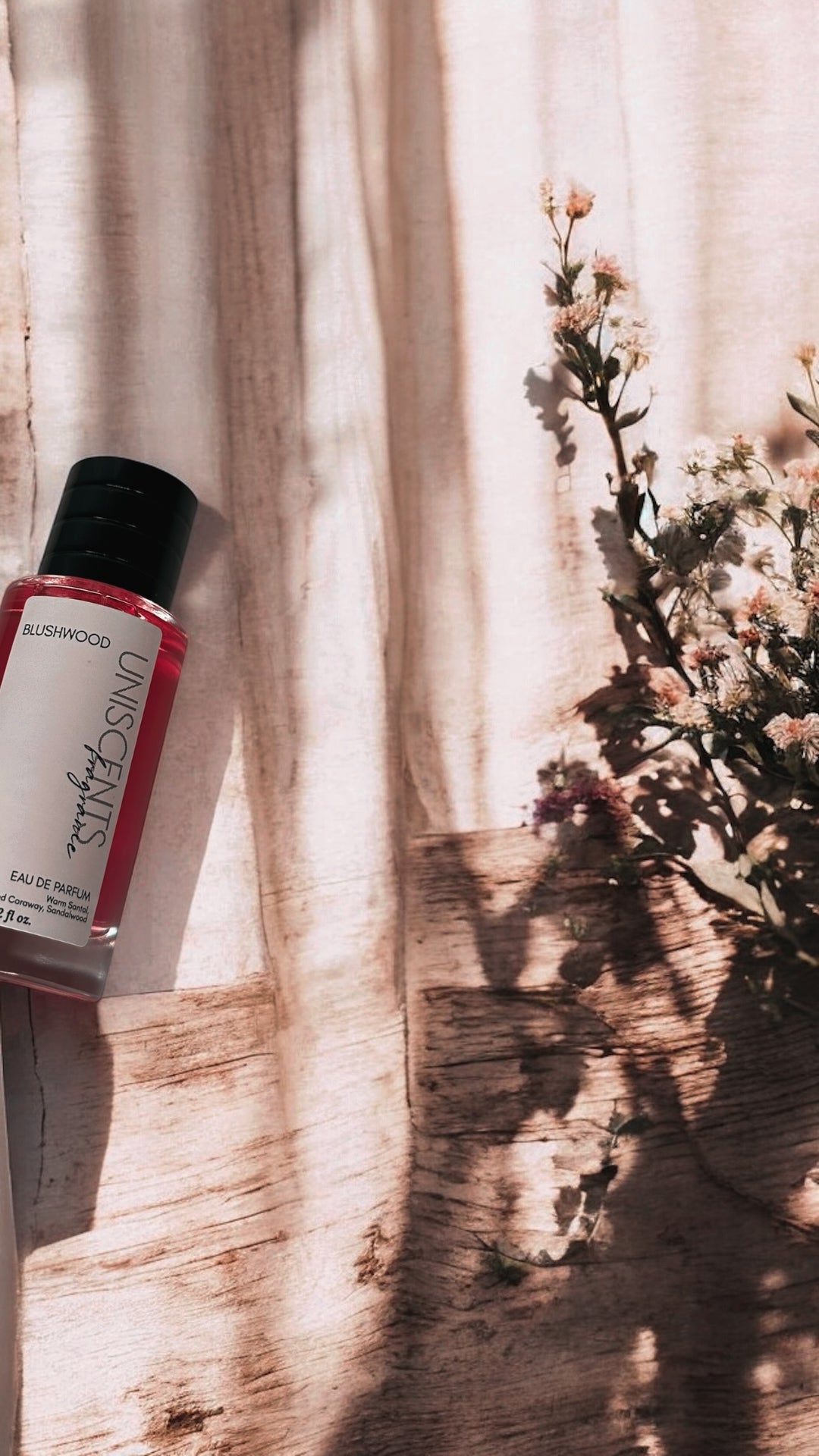 BLUSHWOOD *Limited Release* - Fragrance SPRAY 100ml