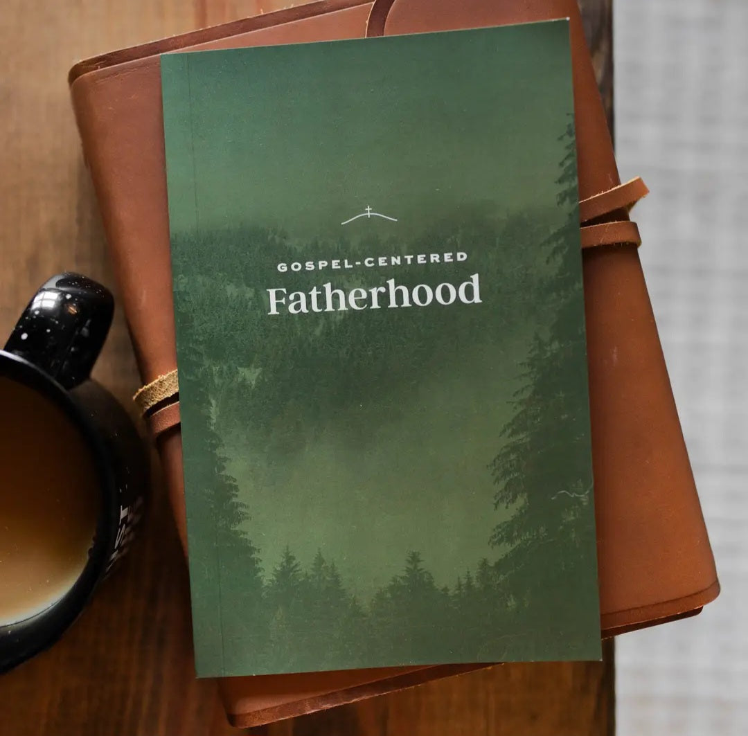 The Daily Grace Co Gospel- Centered Fatherhood Bible Study