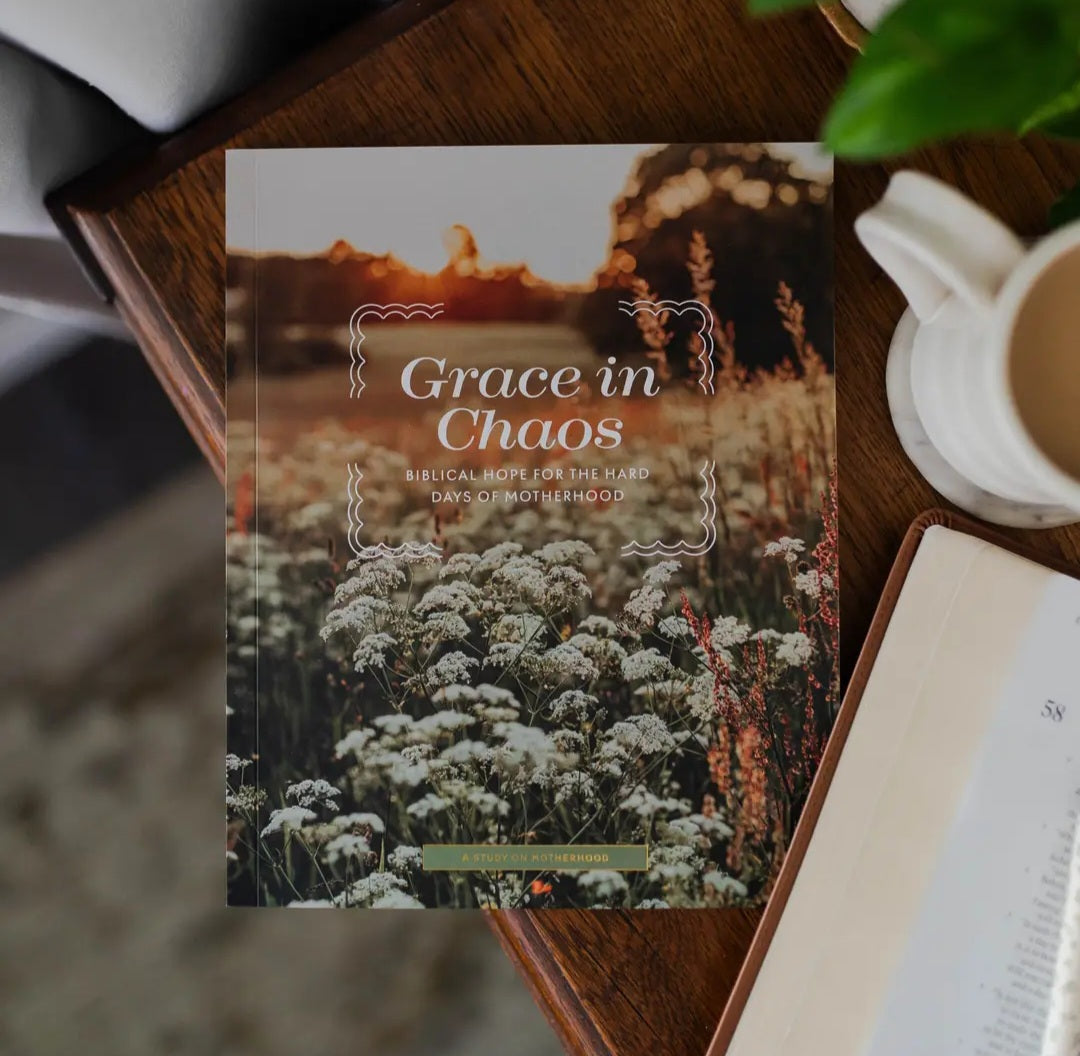 The Daily Grace Co Grace in Chaos Bible Study