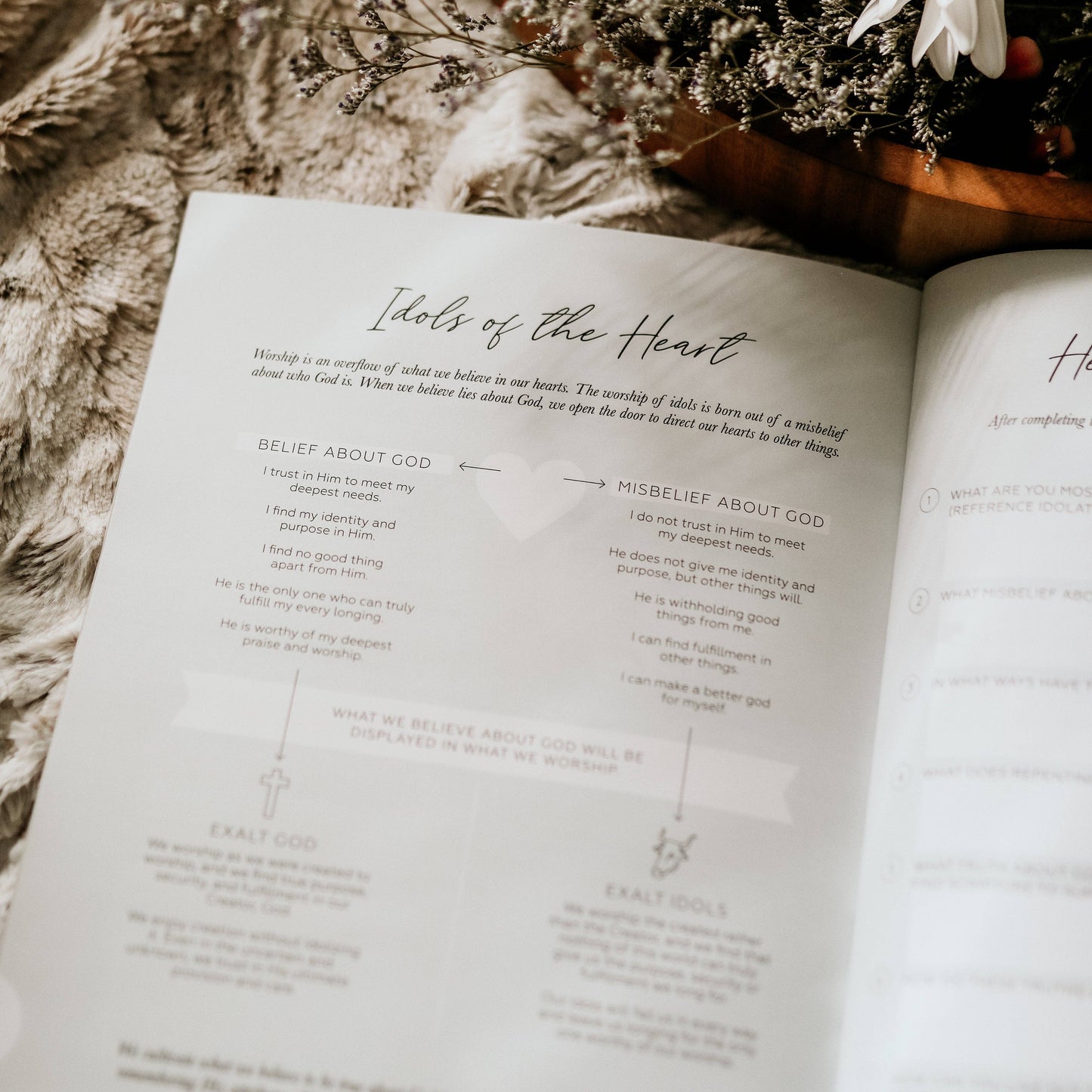 The Daily Grace Co More Than Anything Bible Study