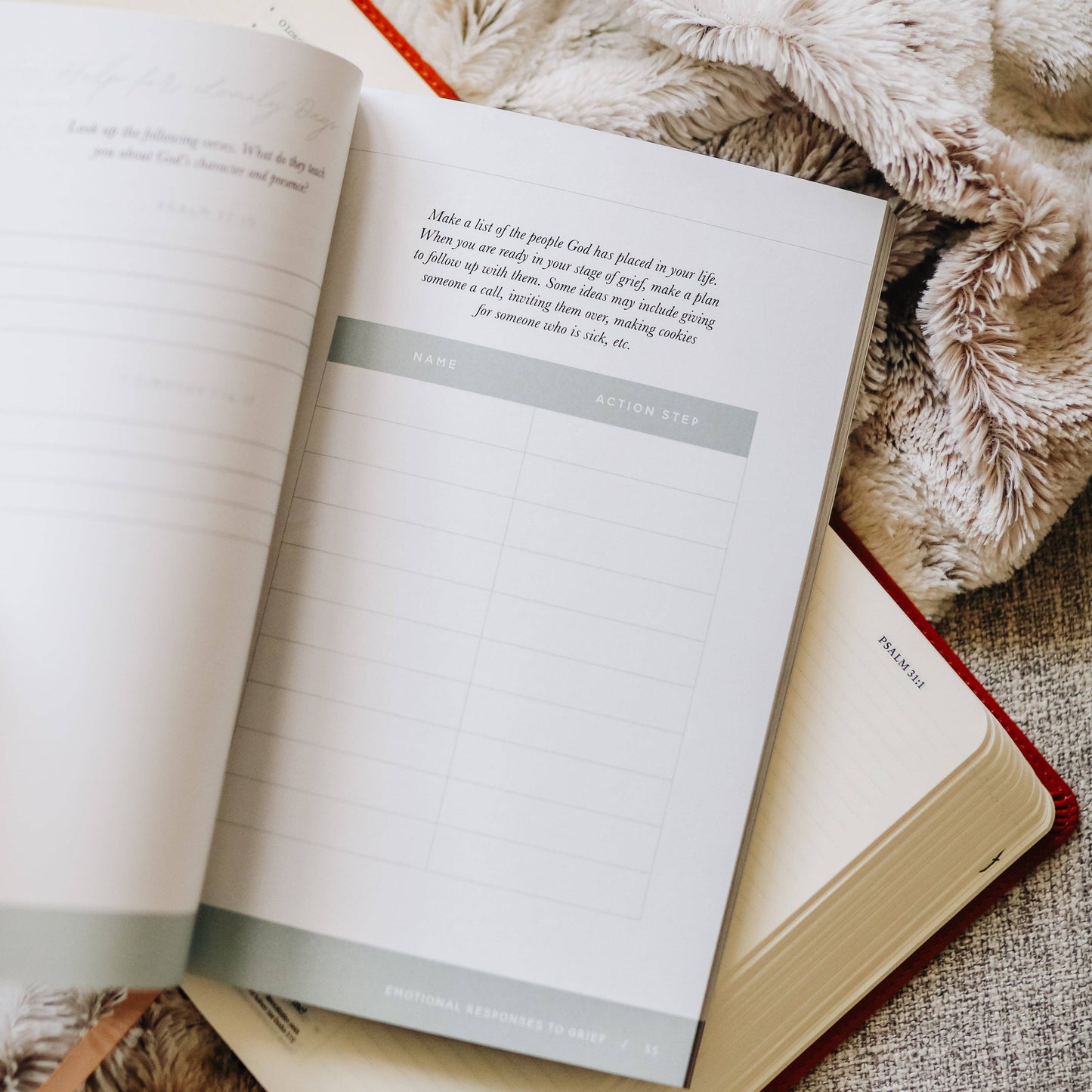 The Daily Grace Co Gospel Hope in Grief and Loss