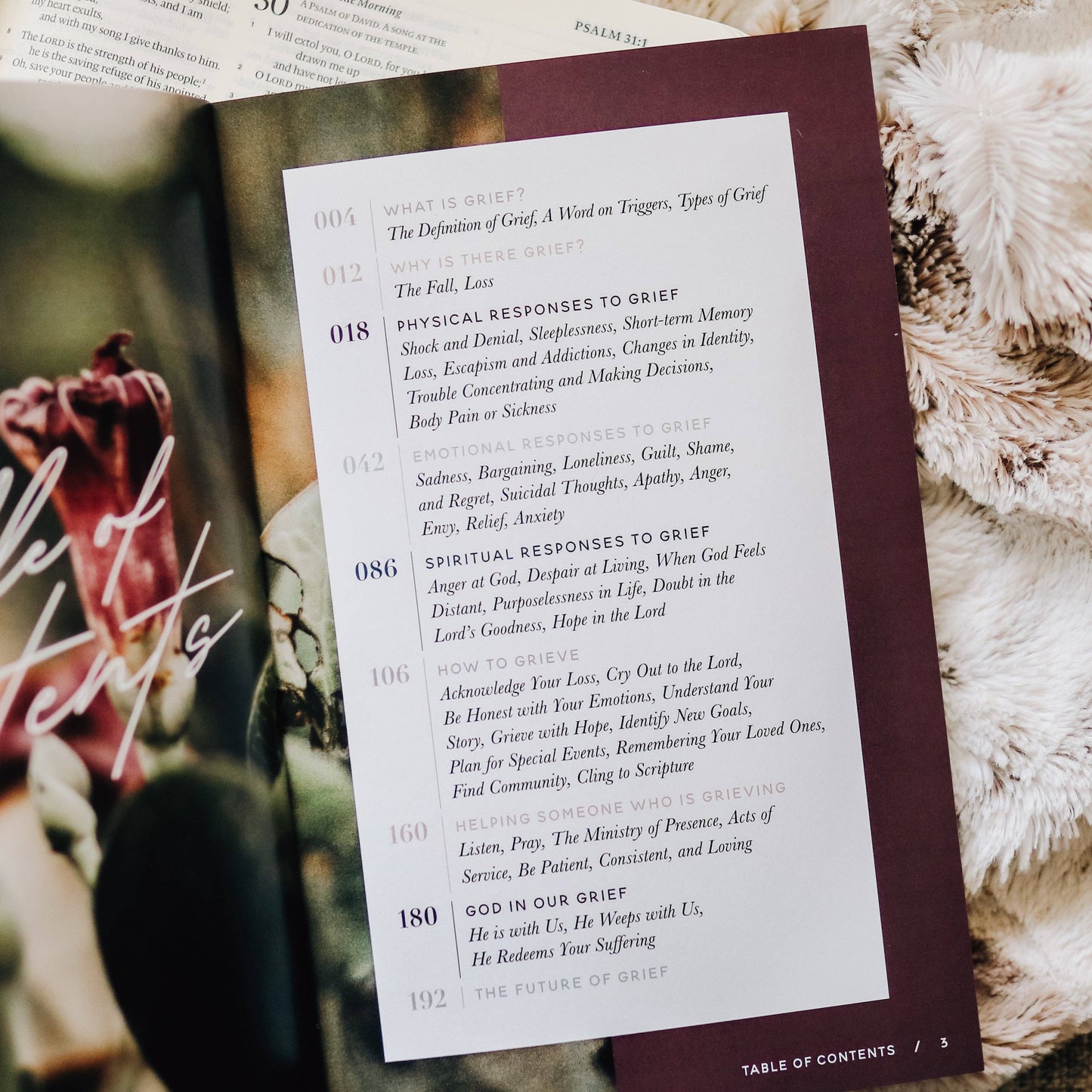 The Daily Grace Co Gospel Hope in Grief and Loss