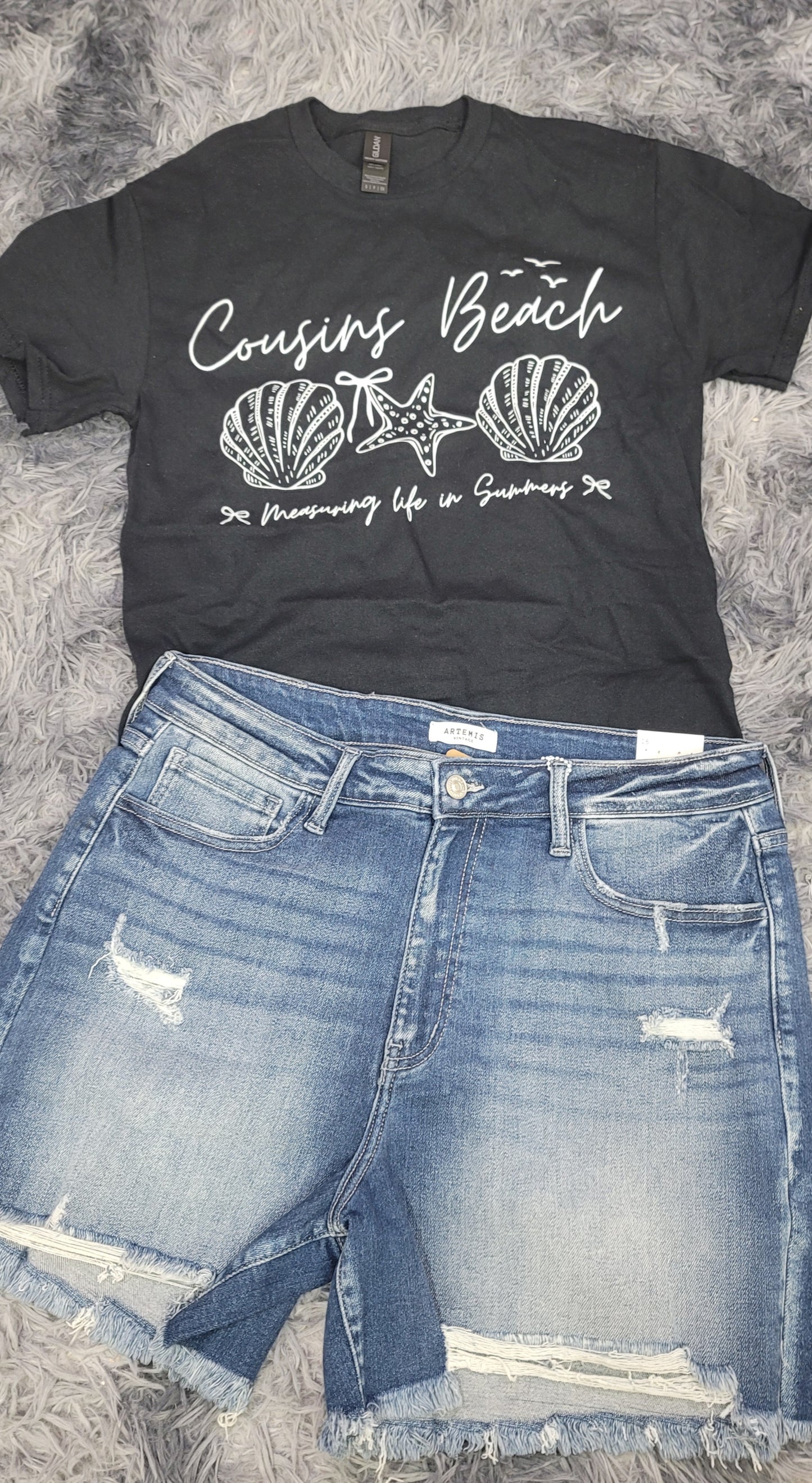 Cousins Beach Shirt, the Summer I Turned Pretty