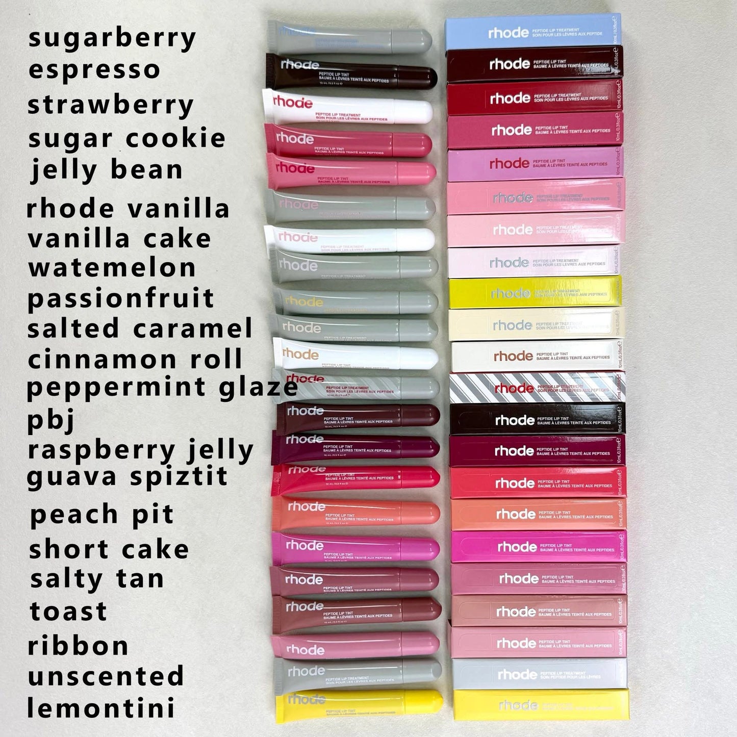 Rhode Sugarberry