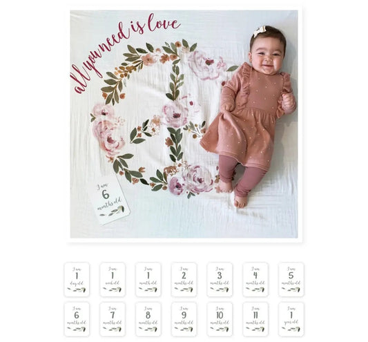 Mary Meyer Baby's First Year -  " All You Need Is Love"