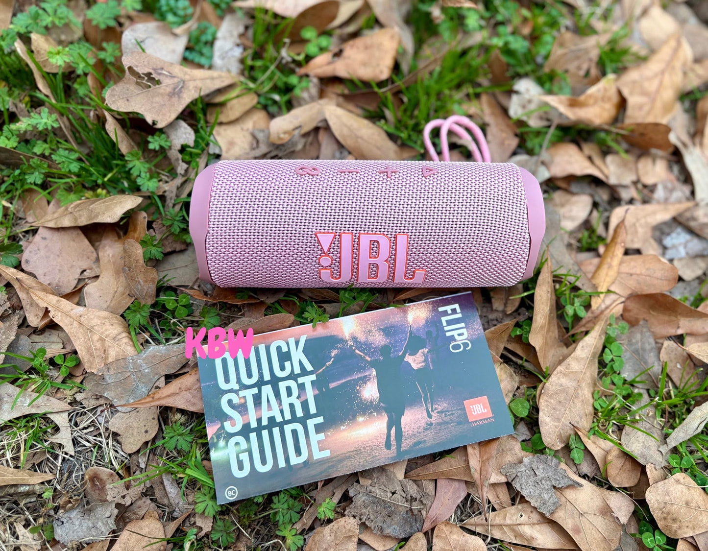Pink JBL speaker